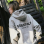 Essential Hoodies
