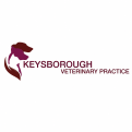 petcaretips