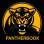 panther book