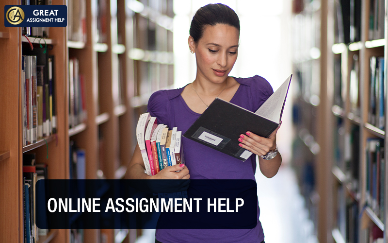 Assignment-Help-16