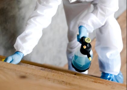 Comprehensive-Termite-Control-Services-for-Lasting-Protection