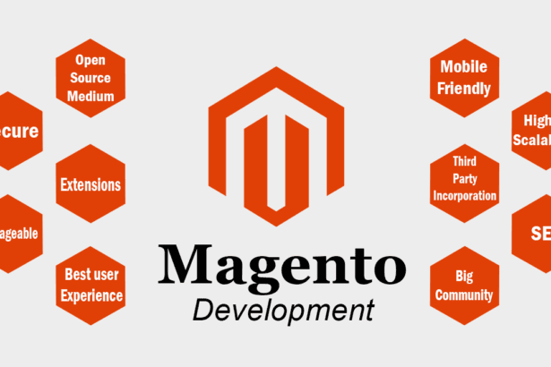Magento-Development