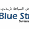 bluestreampools.web