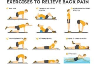lower back-physical