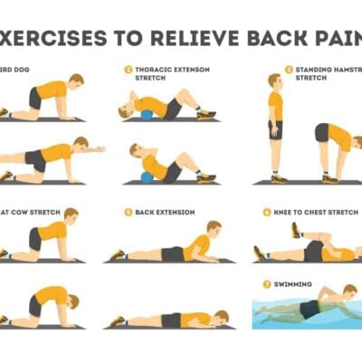 lower back-physical