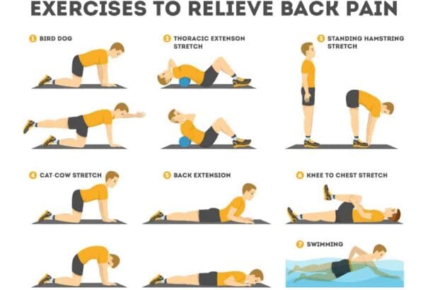 lower back-physical