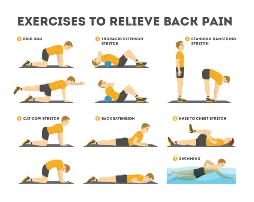 lower back-physical