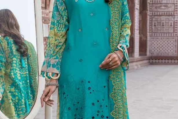 pakistani-dress-785393