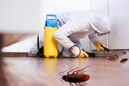 Cockroach-Control-in-Peoria