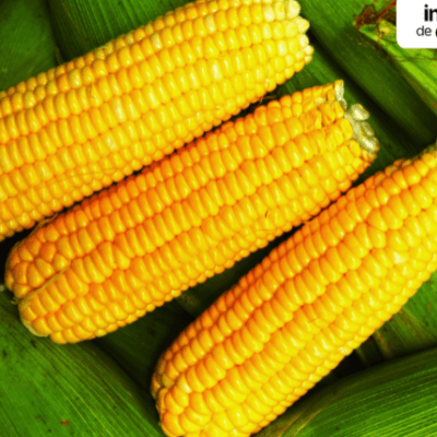 Corn-Market