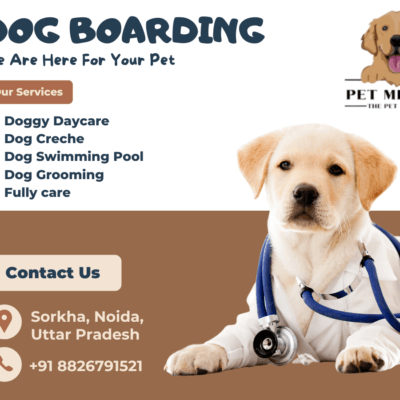 Dog-boarding-Noida
