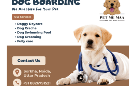 Dog-boarding-Noida