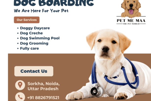 Dog-boarding-Noida