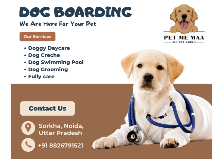 Dog-boarding-Noida