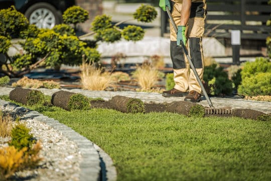 Landscape-Services