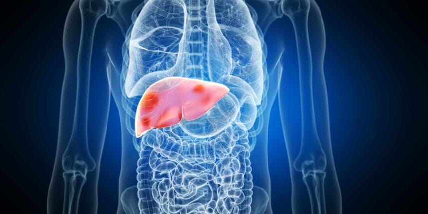 Liver-image-13c8379a99ff4eb7a0c4c7257cefa87d-2048x1024-1