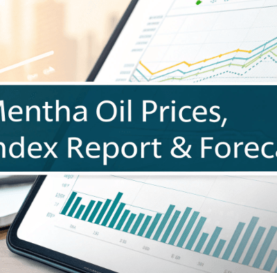 Mentha-Oil-Prices