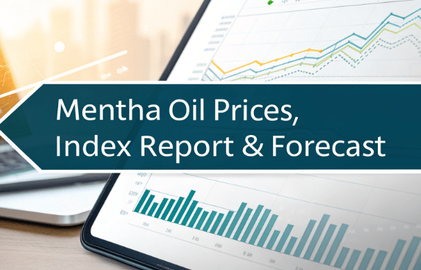 Mentha-Oil-Prices