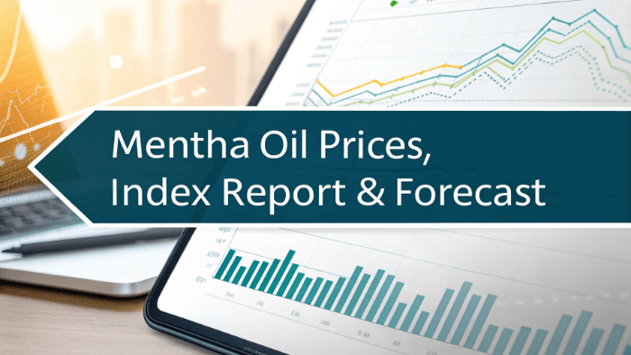 Mentha-Oil-Prices