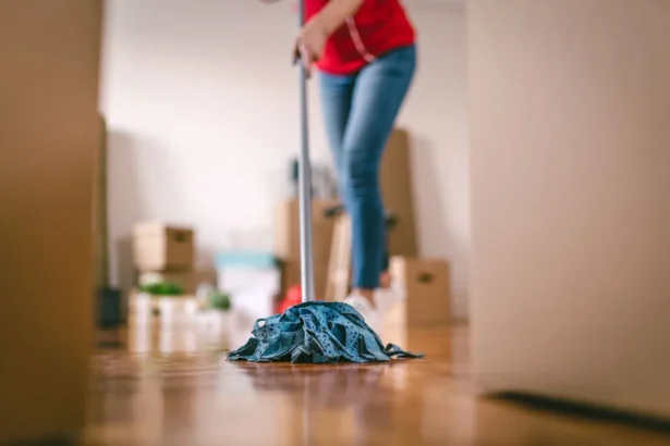 Move-out-cleaning