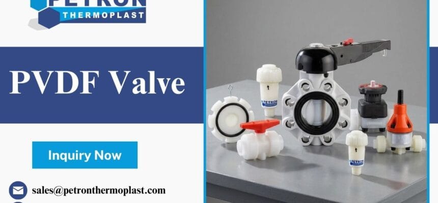 PVDF-Valve