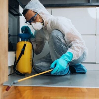 Pest-Control