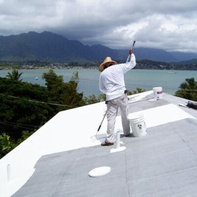 Roof-Painting