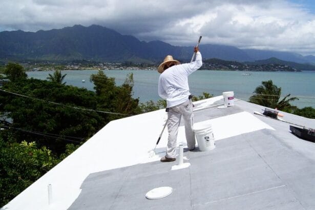 Roof-Painting