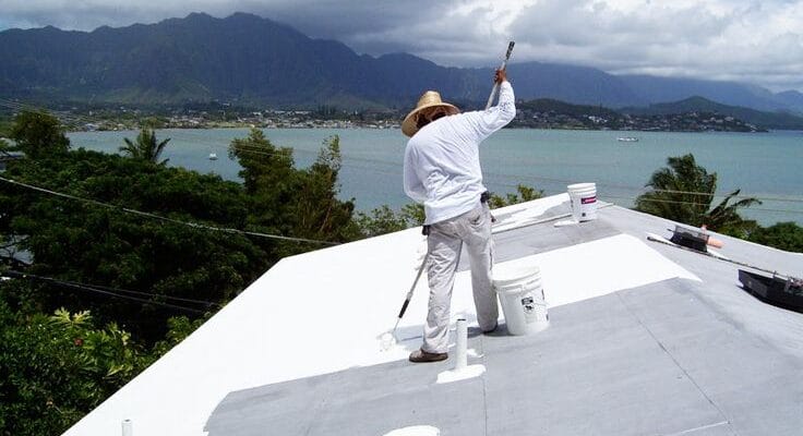 Roof-Painting
