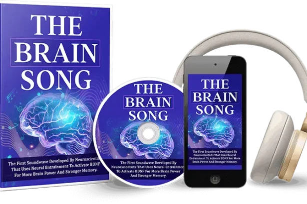 The-Brain-Song