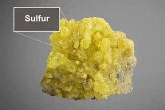 The-Role-of-Sulfur-A-Native-Mineral-Essential-to-Biological-Processes-1