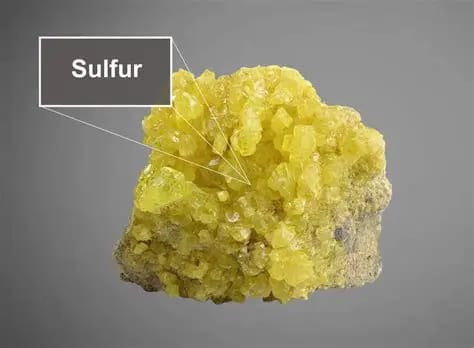 The-Role-of-Sulfur-A-Native-Mineral-Essential-to-Biological-Processes-1