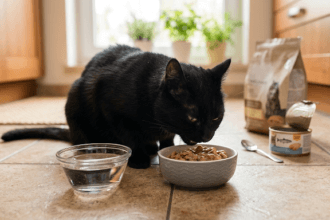 The-Role-of-Wet-Cat-Food-in-Keeping-Cats-Hydrated-and-Healthy