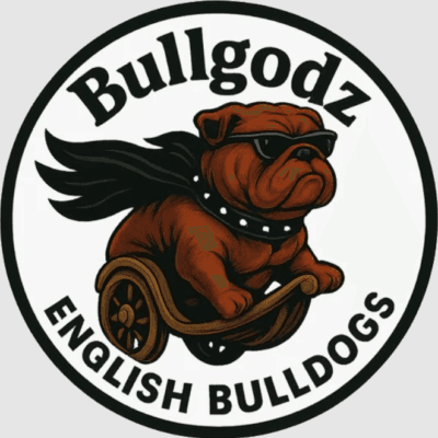 bulldogz