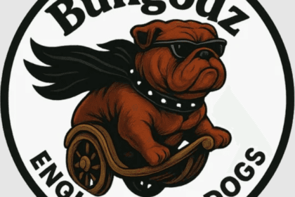 bulldogz