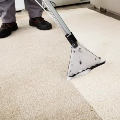 professional-carpet-cleaning_11zon