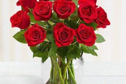 Send Flowers Online