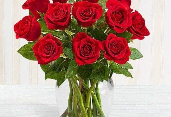Send Flowers Online