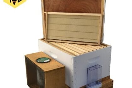Bee-Hive-Starter-Kit