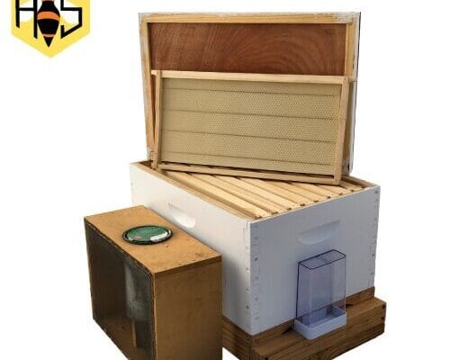 Bee-Hive-Starter-Kit