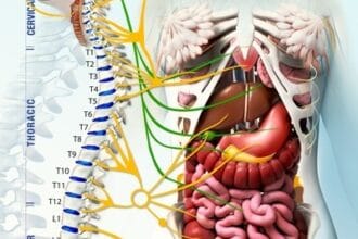 Chronic-Pain-Relief