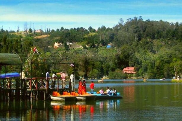 Ooty-Honeymoon-Packages