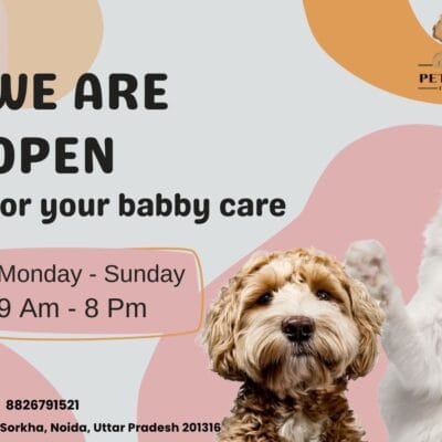 Pet-Me-Maa-GMB-3
