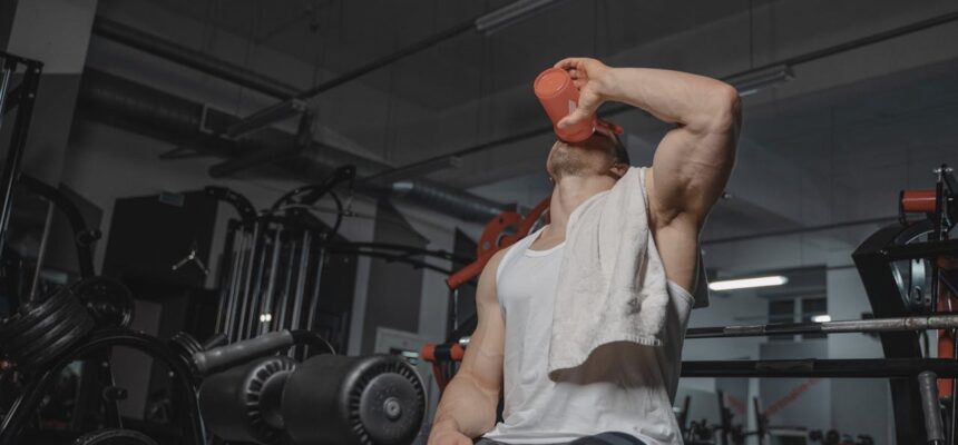 creatine-supplements-for-beginners