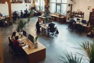 jpeg-optimizer_jpeg-optimizer_room-with-plant-top