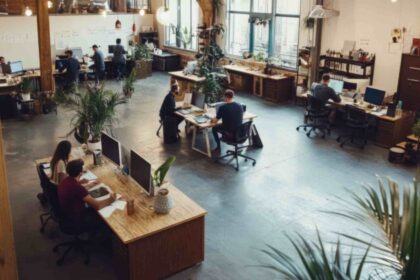 jpeg-optimizer_jpeg-optimizer_room-with-plant-top