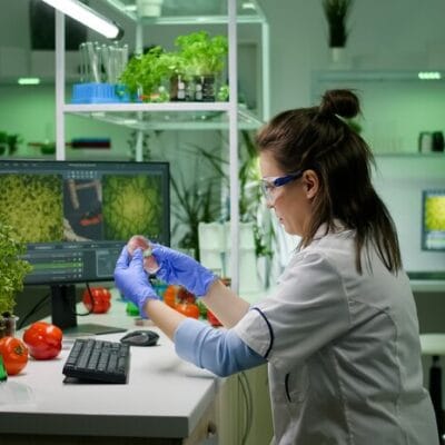 online-haccp
