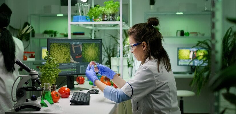 online-haccp