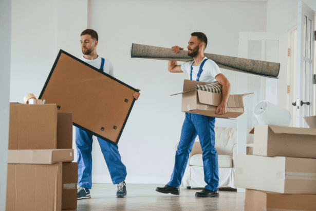 professional-removal-company-4
